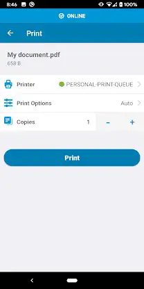 HP Advance screenshot 2