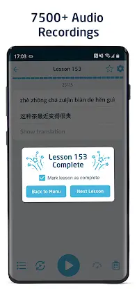 Immersive Chinese screenshot 3