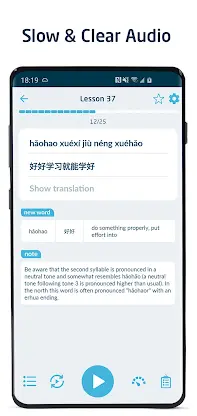 Immersive Chinese screenshot 4