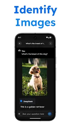 Deep Search - AI Chatbot screenshot 4