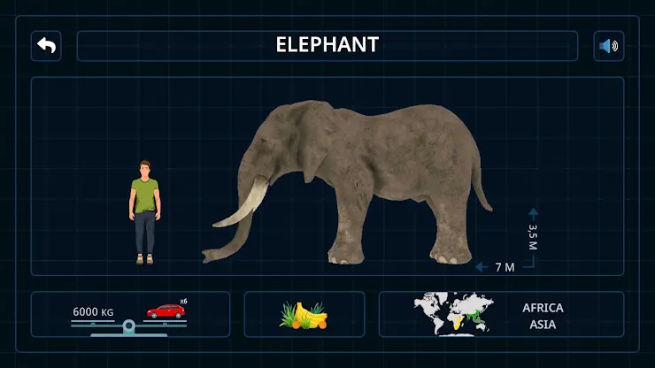 Wild Animals VR Kid Game screenshot 5
