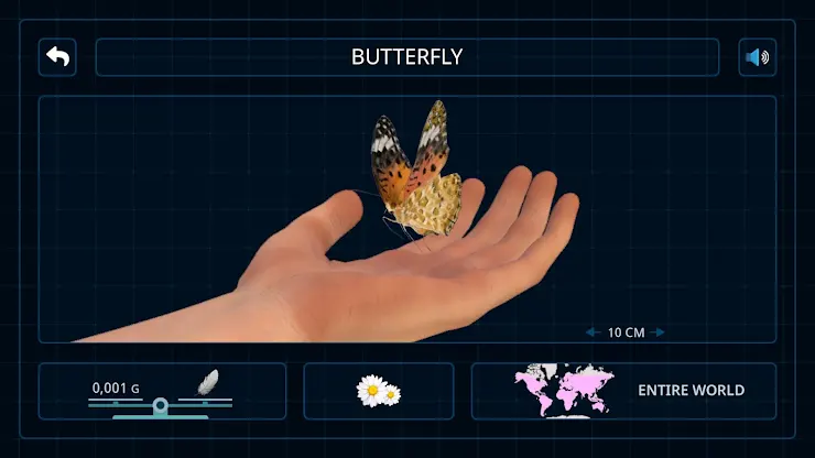 Bugs & Insects VR/AR Kid Game screenshot 5