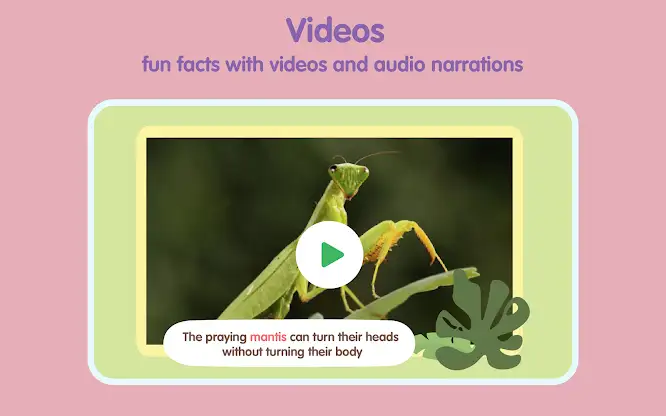 Bugs Insects kids Learn & Play screenshot 6