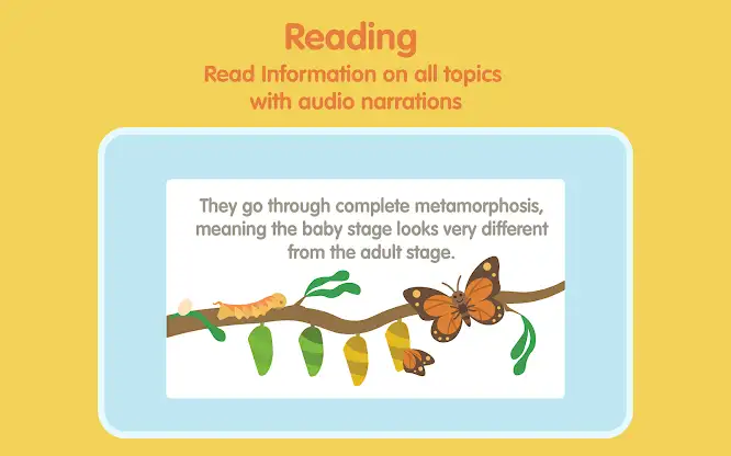 Bugs Insects kids Learn & Play screenshot 5
