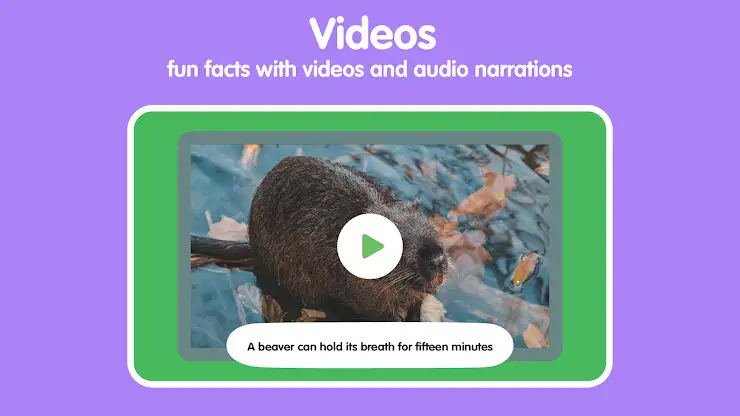 Learn Forest Animals for Kids screenshot 6