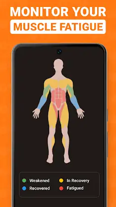 Gym WP - Workout Tracker & Log screenshot 5