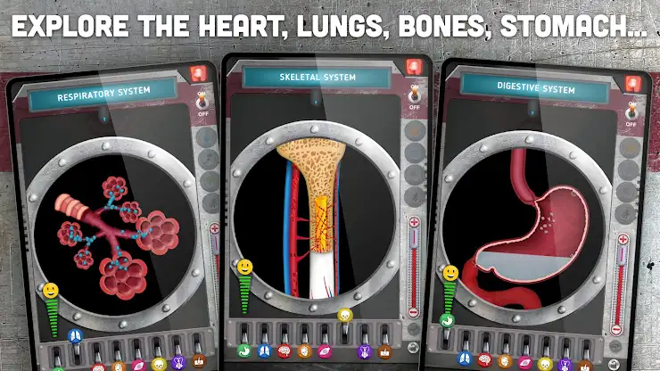 How does The Human Body Work? screenshot 5