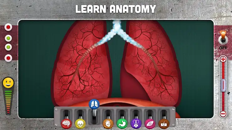 How does The Human Body Work? screenshot 2