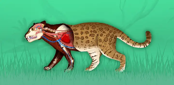 The Animals: Animal Kids Games — Android app banner