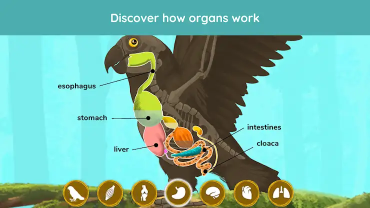 The Animals: Animal Kids Games screenshot 4