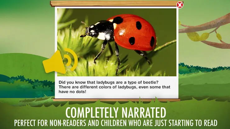 The Bugs I: Insects? screenshot 6
