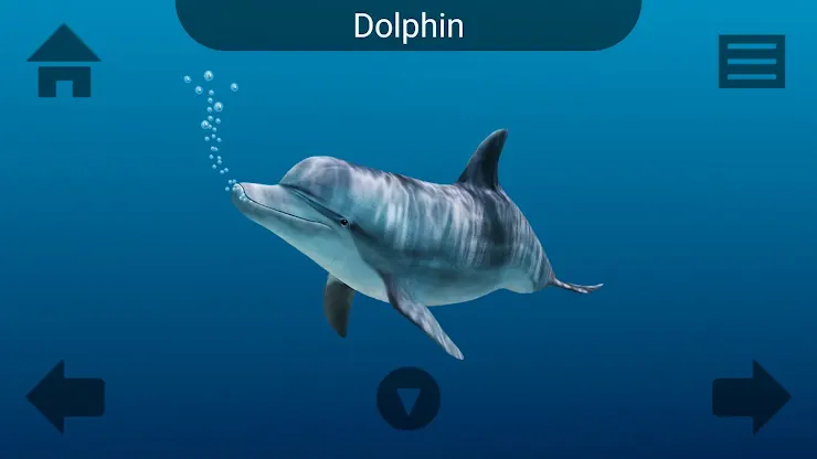 Marine Life screenshot 1