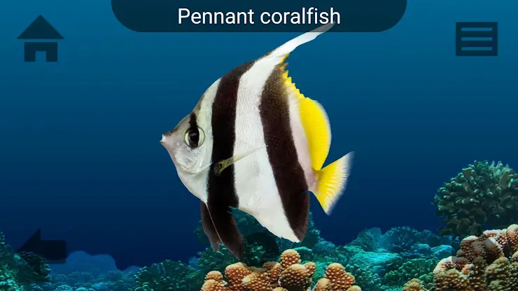 Marine Life screenshot 3