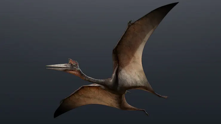 Dinosaur Museum screenshot 3