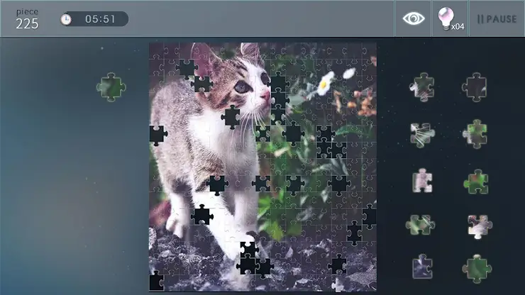Jigsaw Puzzle World screenshot 1