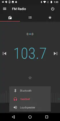 FM Radio screenshot 3