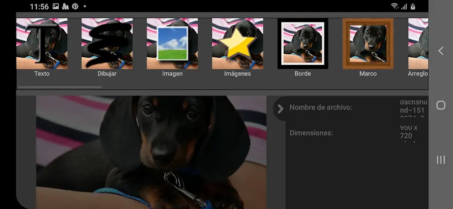 PhotoPad editor de fotografías screenshot 2
