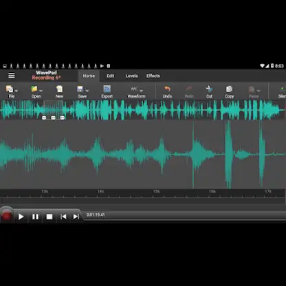 WavePad Master's Edition screenshot 1