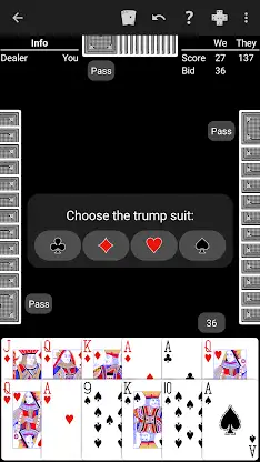 Pinochle - Expert AI screenshot 6
