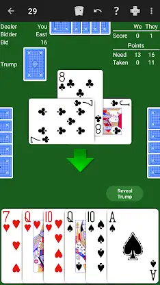 29 Card Game - Expert AI screenshot 1