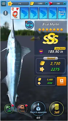 Fishing Season :River To Ocean screenshot 3