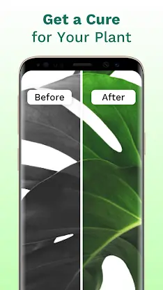 PlantID: Ai Plant Identify App screenshot 5
