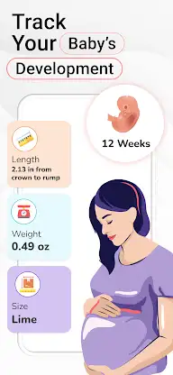 Pregnancy Calculator, Calendar screenshot 3