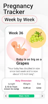 Pregnancy Calculator, Calendar screenshot 2