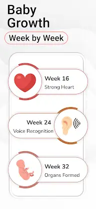 Pregnancy Calculator, Calendar screenshot 5