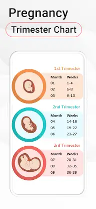Pregnancy Calculator, Calendar screenshot 4