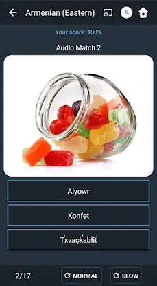 Learn Armenian. Speak Armenian screenshot 5