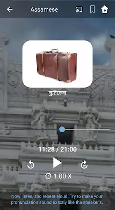 Learn Assamese. Speak Assamese screenshot 4