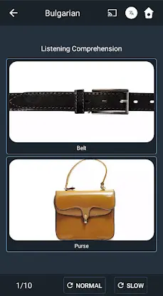 Learn Bulgarian. Speak Bulgari screenshot 4