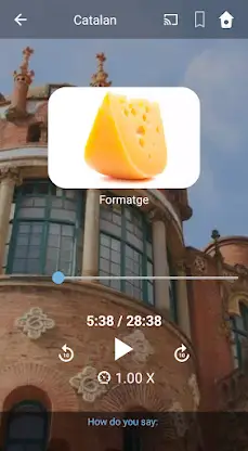 Learn Catalan. Speak Catalan.  screenshot 2