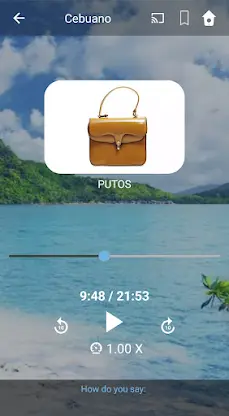 Learn Cebuano. Speak Cebuano. screenshot 4