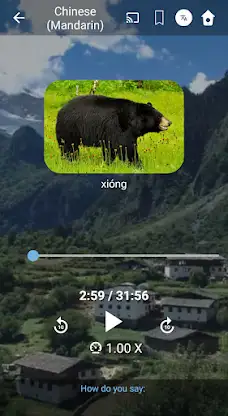 Learn Mandarin Chinese. Speak  screenshot 5