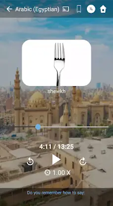 Learn Egyptian Arabic. Speak E screenshot 3