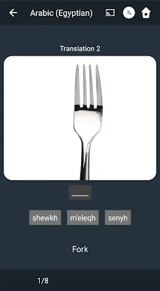 Learn Egyptian Arabic. Speak E screenshot 4