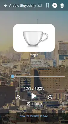 Learn Egyptian Arabic. Speak E screenshot 2