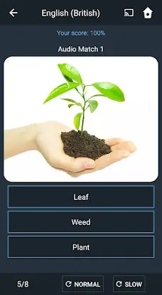 Learn British English. Speak B screenshot 6