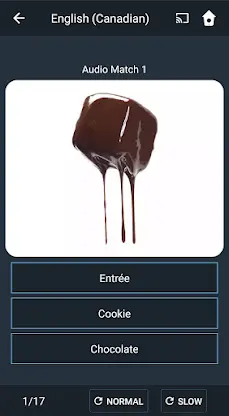 Learn Canadian English. Speak  screenshot 5