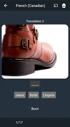 Learn Canadian French. Speak C screenshot 4
