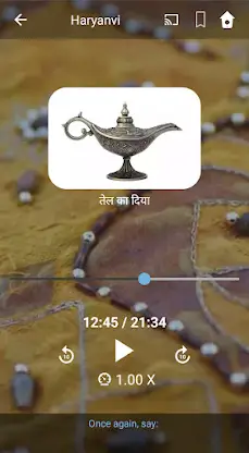 Learn Haryanvi. Speak Haryanvi screenshot 4