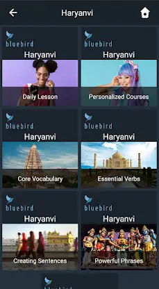 Learn Haryanvi. Speak Haryanvi screenshot 1