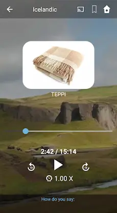 Learn Icelandic. Speak Iceland screenshot 3
