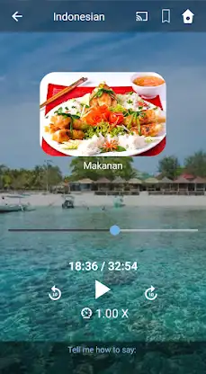 Learn Indonesian. Speak Indone screenshot 2
