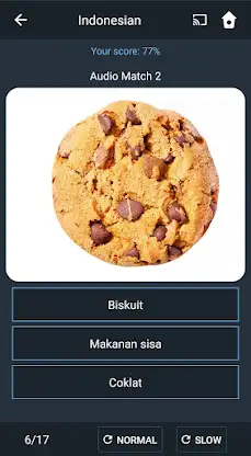 Learn Indonesian. Speak Indone screenshot 4