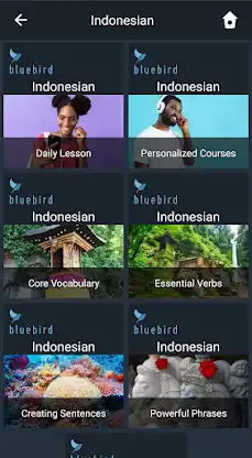 Learn Indonesian. Speak Indone screenshot 1