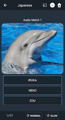 Learn Japanese. Speak Japanese screenshot 4