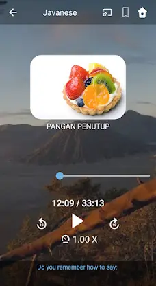 Learn Javanese. Speak Javanese screenshot 2